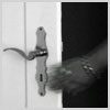 >> Werbespot Eman(n)zipation | 3.6 MB